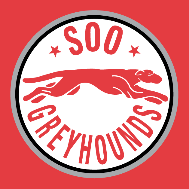 Sault Ste. Marie Greyhounds 1998-2009 alternate logo iron on heat transfer